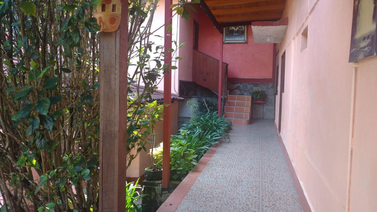 Posada Del Bosque 巴耶德布拉沃 外观 照片